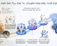 Văn hoá và hiệu suất làm việc đội nhóm - Bài 2: Team bận rộn và team tạo giá trị.